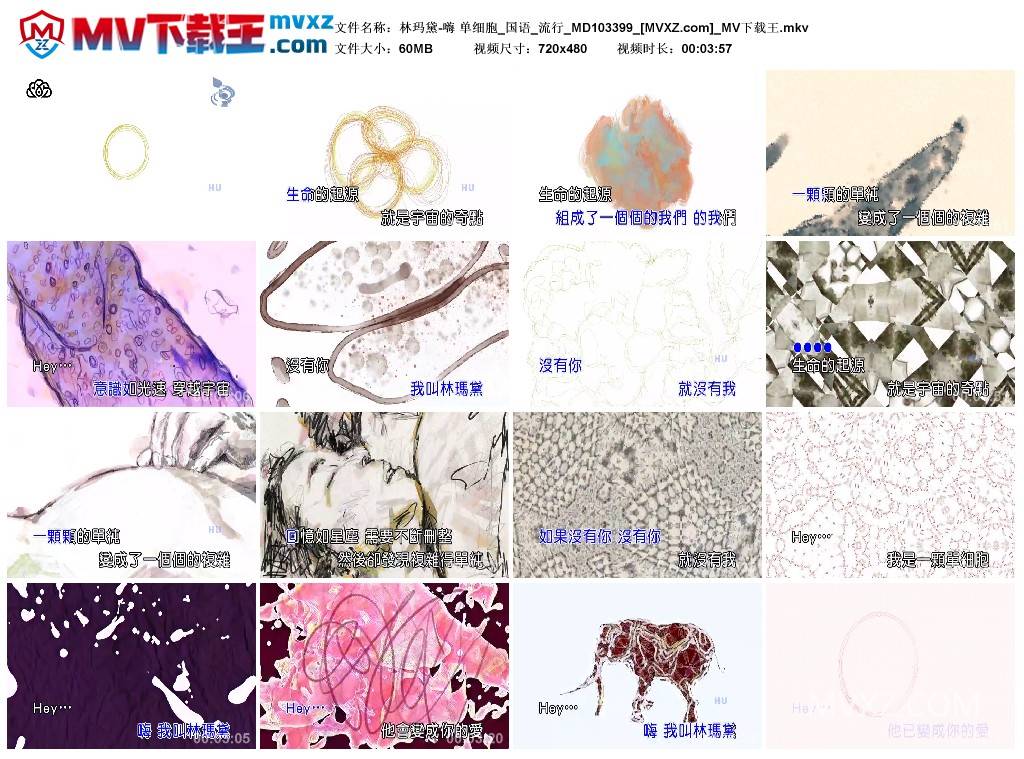 林玛黛-嗨 单细胞_国语_流行_MD103399